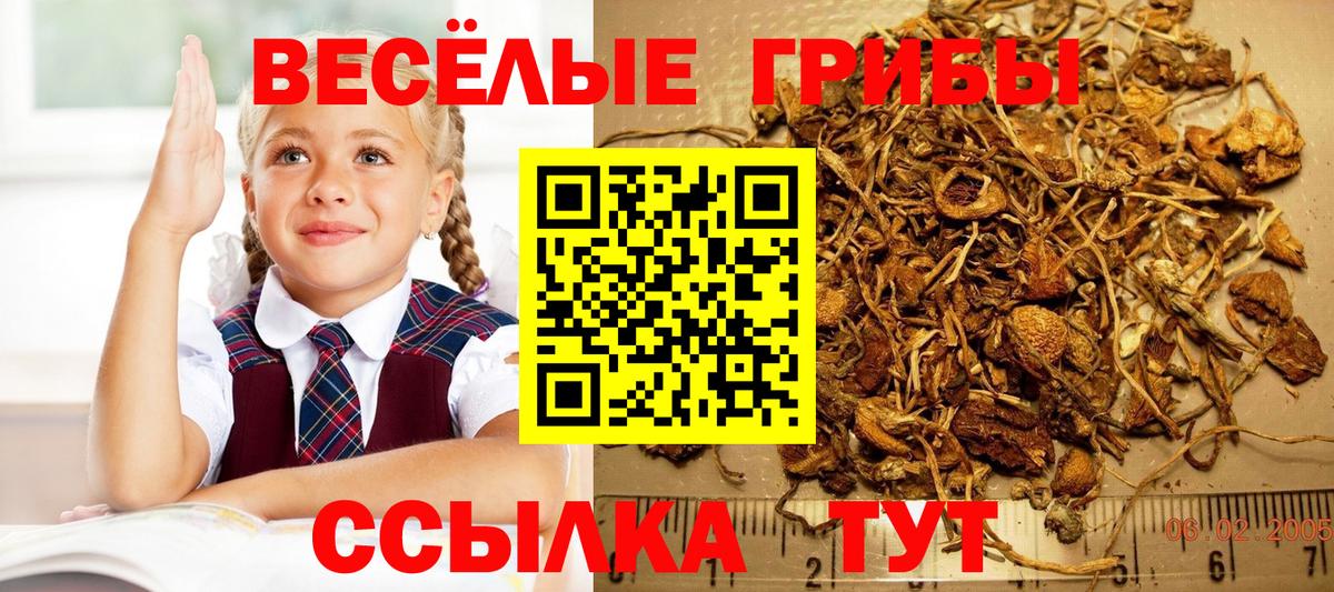 Галлюциногенные грибы Magic Shrooms  Галлюциногенные грибы мицелий  Долгопрудный  Вход с VPN 