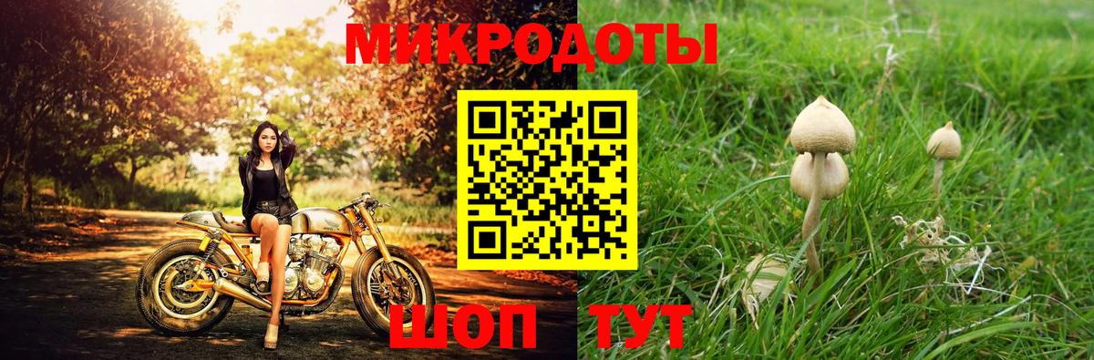 Галлюциногенные грибы мухоморы Долгопрудный